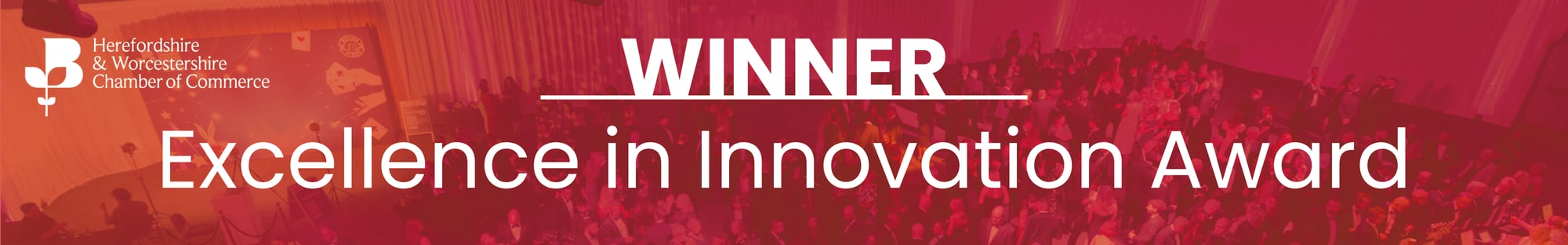 Excellence in Innovation Banner 2