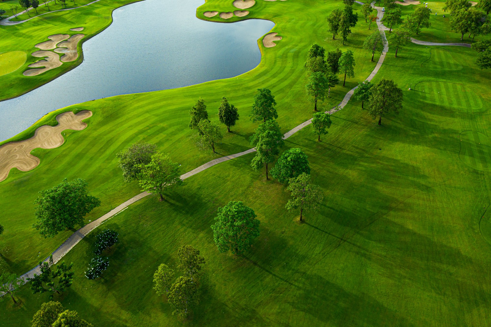 Golf Course