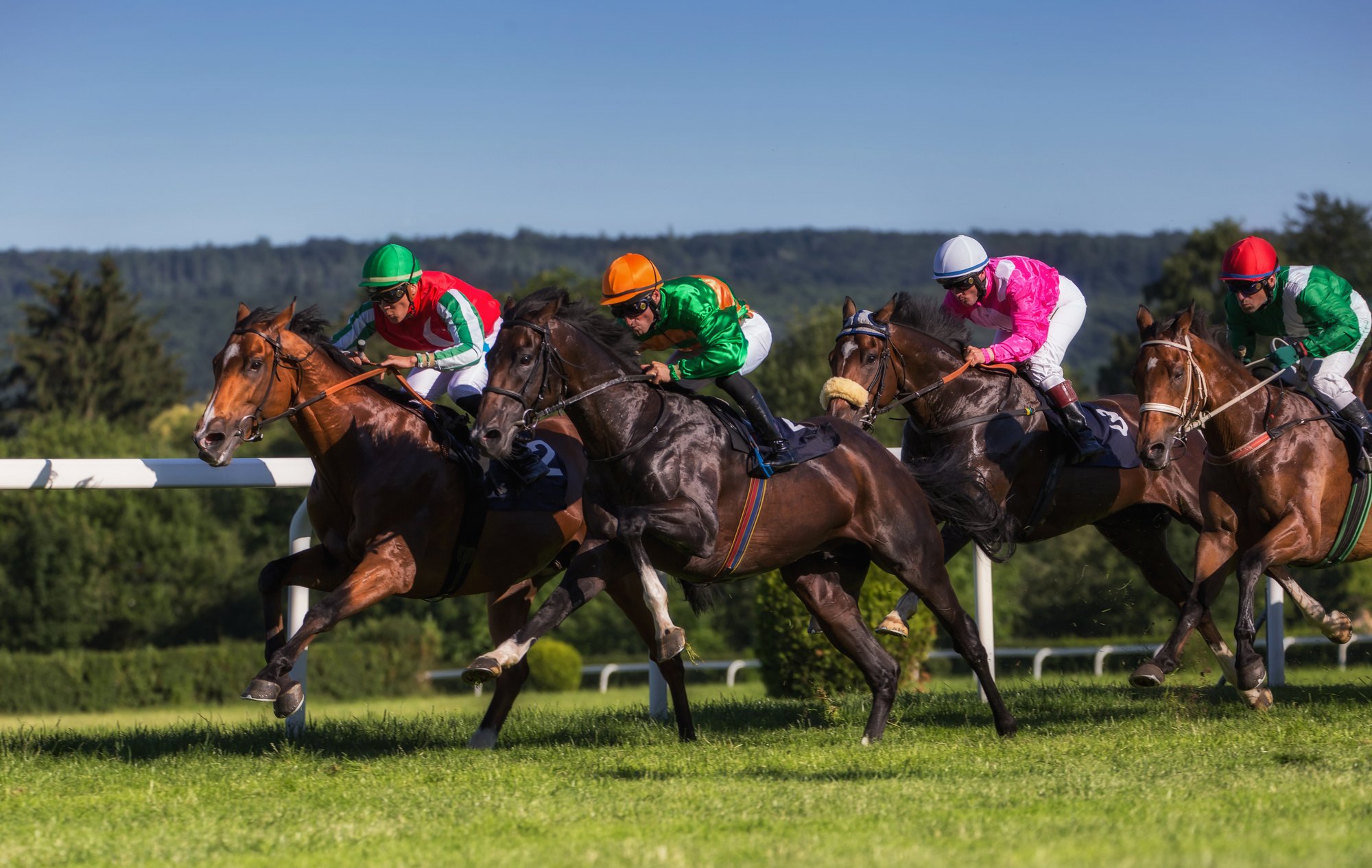 Horse Jockeys